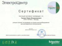 Сертификат Чамкина Павла Владимировича